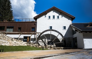 DSC_4238