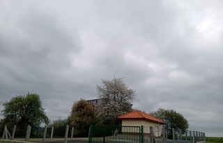 20250415_124138