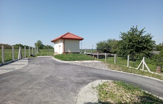 20250513_102349